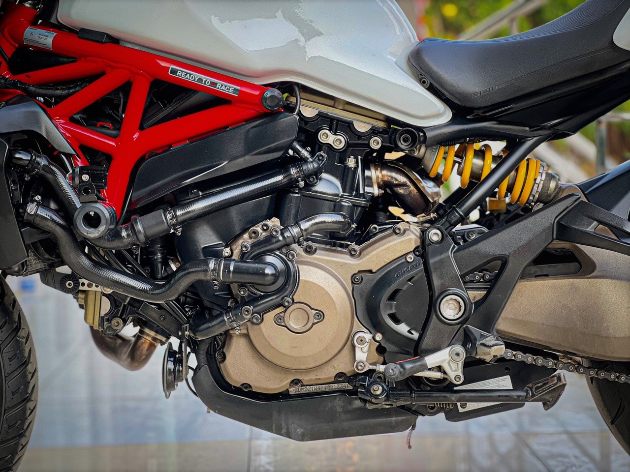 296. Ducati Monster 821 2017