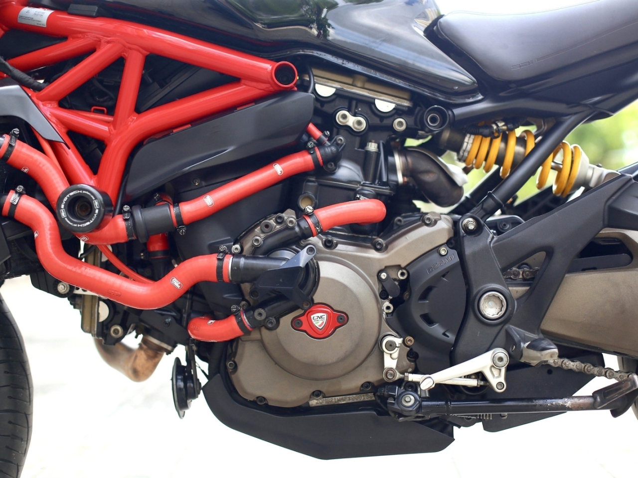 298. Ducati Monster 821 